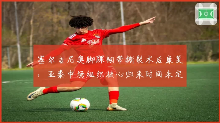 塞尔吉尼奥脚踝韧带撕裂术后康复，亚泰中场组织核心归来时间未定？
