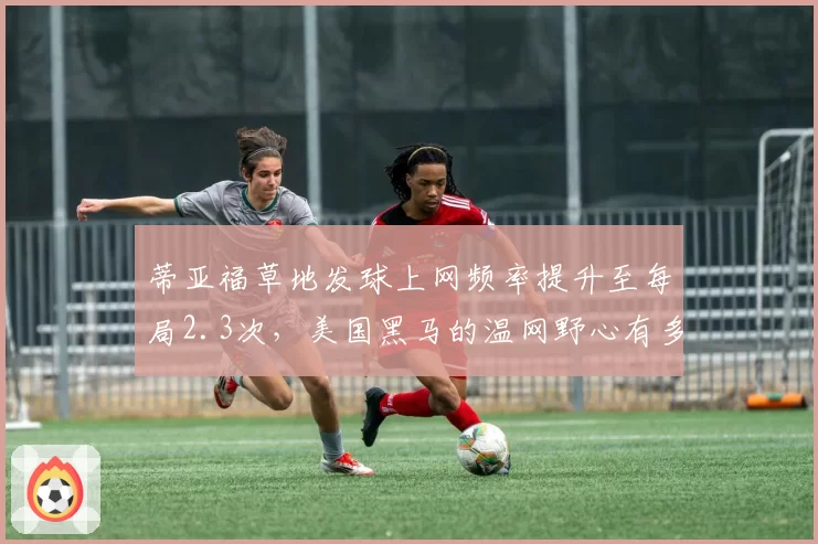 蒂亚福草地发球上网频率提升至每局2.3次,美国黑马的温网野心有多大?