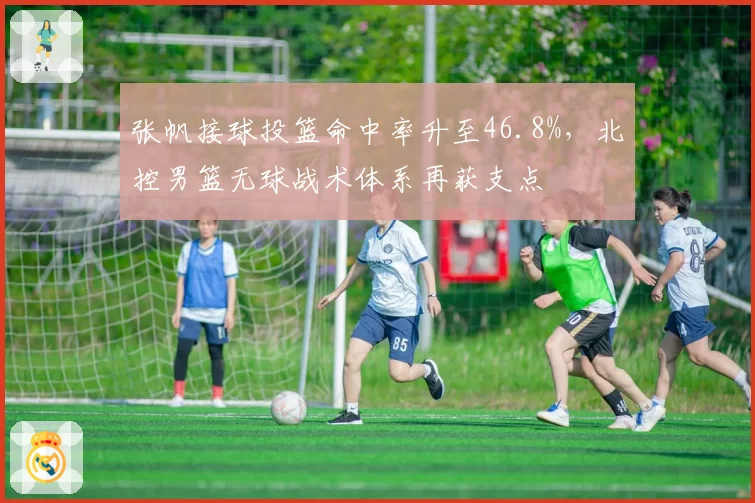 张帆接球投篮命中率升至46.8%,北控男篮无球战术体系再获支点